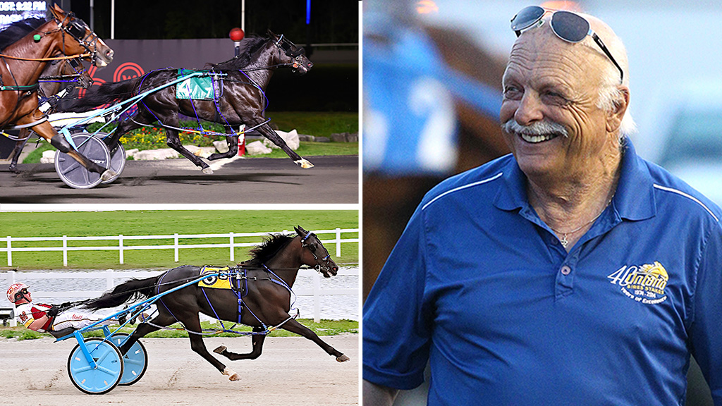 TROT N.A. Cup Spring Book Profile: Clever Cody & Storm Shadow