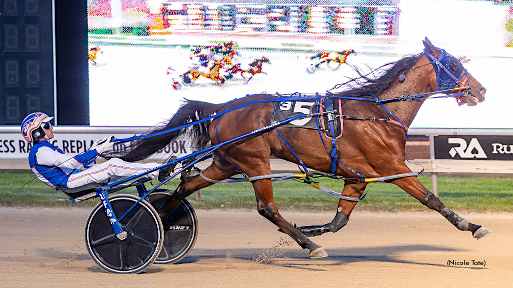 Illusion Seelster A Real Winner At Aces