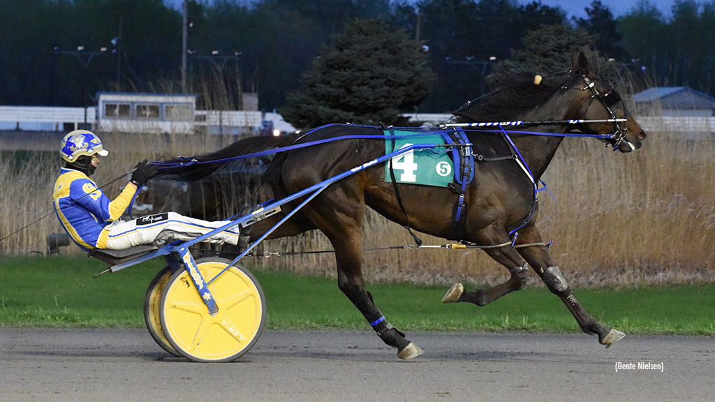 Ima Standup Guy Stands Tall In Rideau Preferred