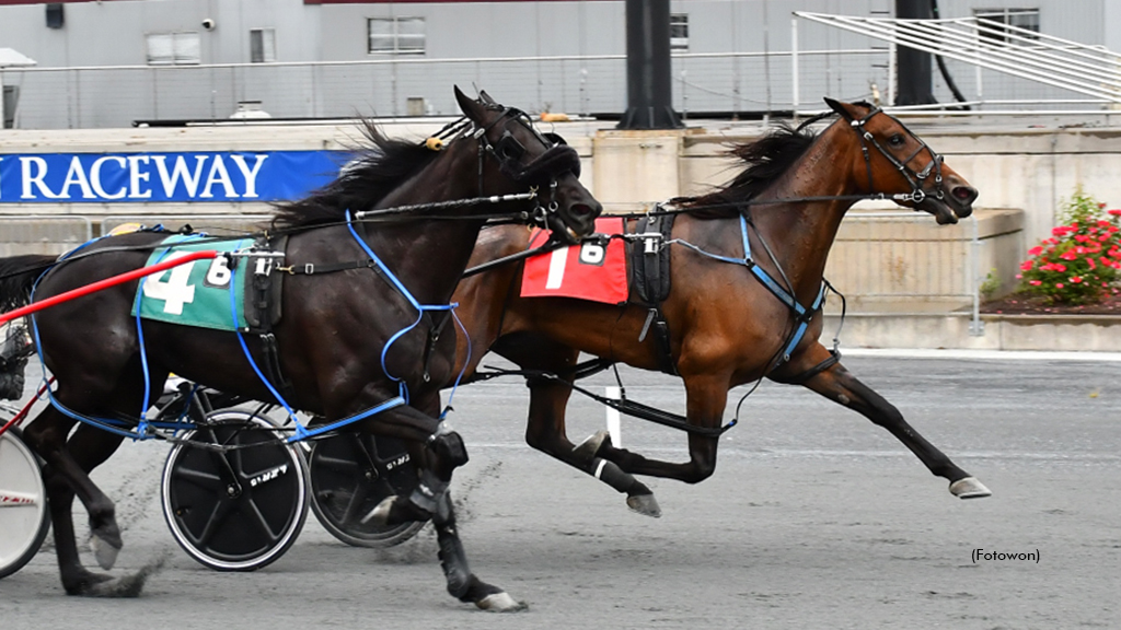 Incaseyoudidntknow Prevails Over Harrington Distaffers