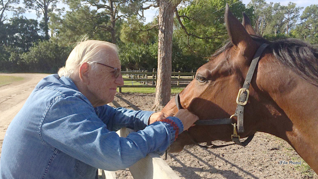 Mistletoe Shalee Renamed To Honour Silverman