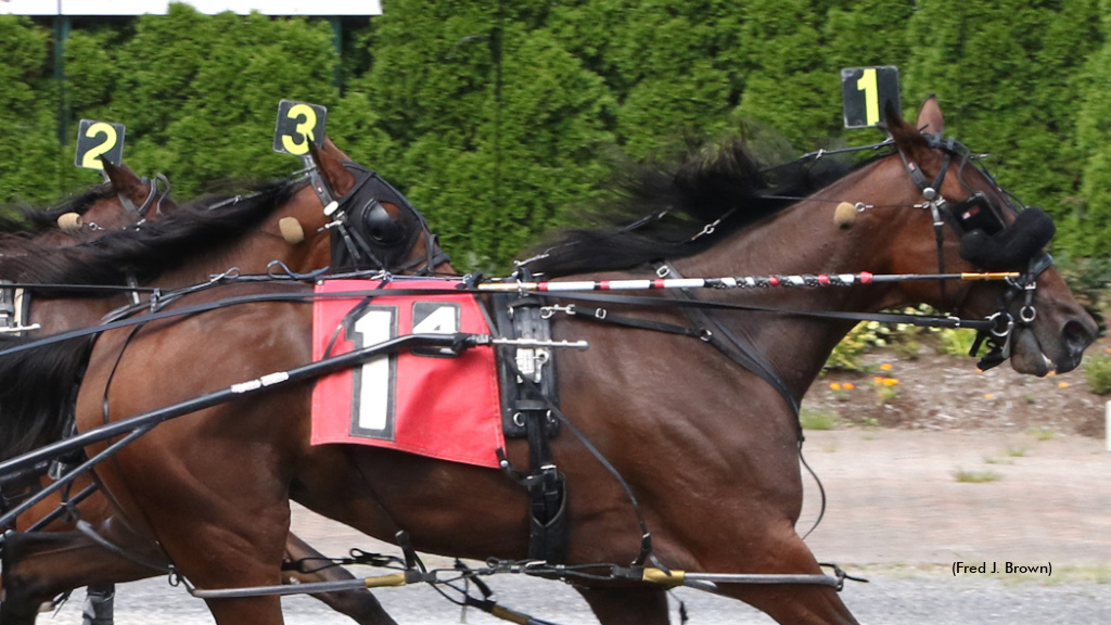 NYSS Pacing Fillies Head To Tioga On Sunday  NYSS Pacing Fillies Head To Tioga On Sunday