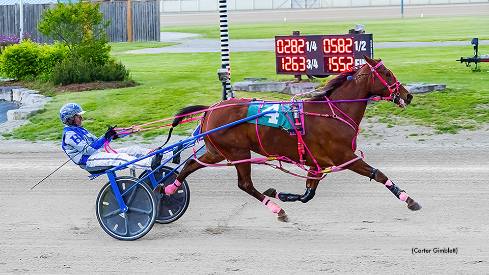 Major League N Victorious In London Preferred