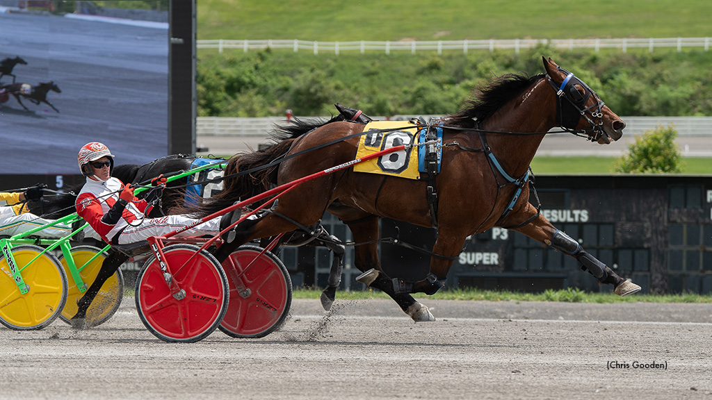 Marloe Hanover Wins Meadows Distaff Open