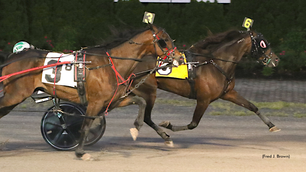 May Baby Best In Tioga Open Saturday