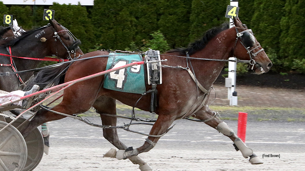 Mea Culpa A Takes Tioga Open