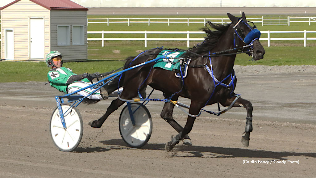 Outlawguns N Roses Sparkles In Alberta Diamond Final