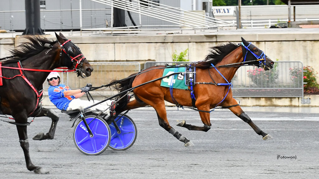 Remarkable De Vie Tops Harrington Open Trotters