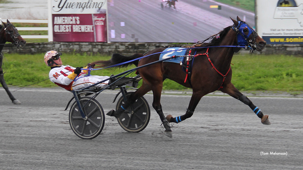 Spaaaanzano Returns To Stakes Action