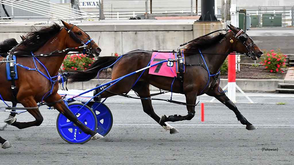 Sprocket Three-Peats In Harrington Open Pace