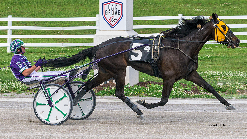 Swan Flyer Slides To Oak Grove Open Trot Victory