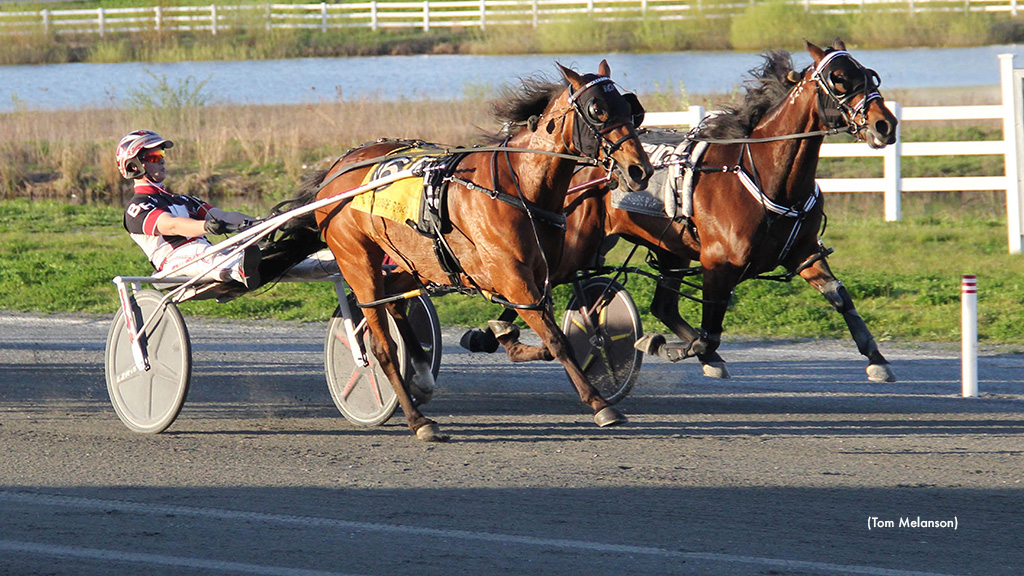 Career Best For Swedish Starlet N In Plainridge Open