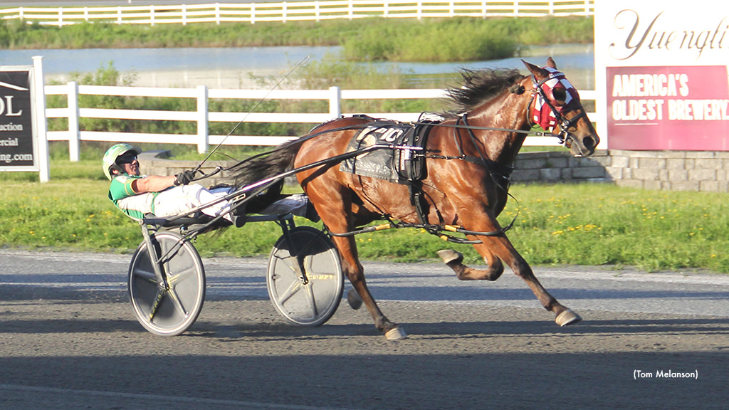 Swedish Starlet N Takes Mark In Plainridge Open