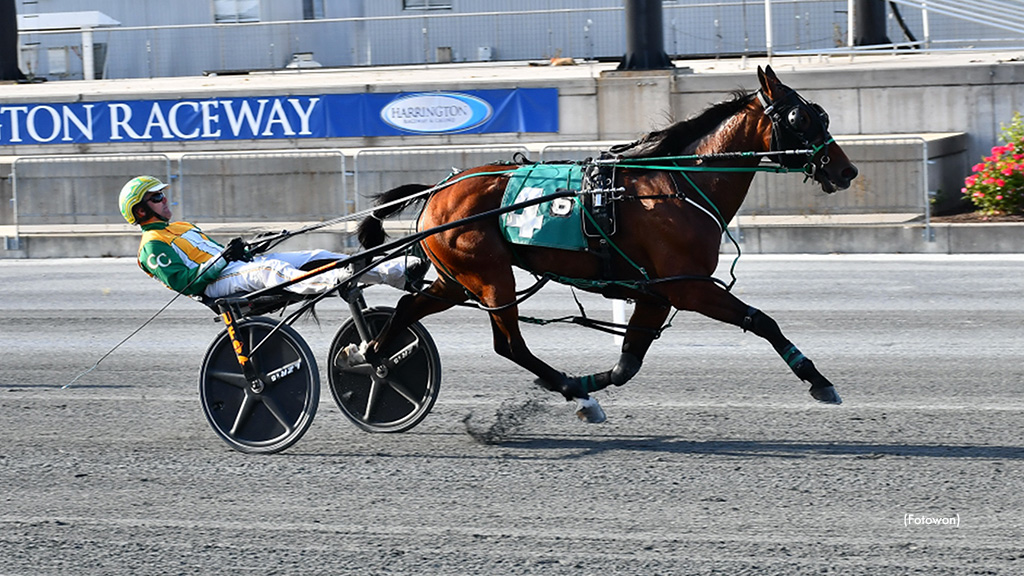 Sweet Angel Boy Takes Harrington Free-For-All