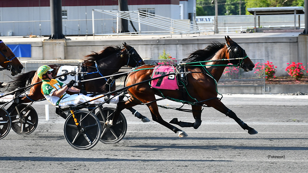 Sweet Angel Boy Wins Fifth Straight At Harrington