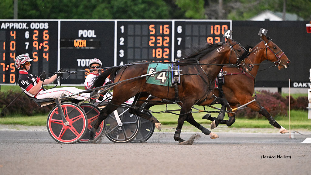 The Bird Dance N Wires Saratoga Open Pacers