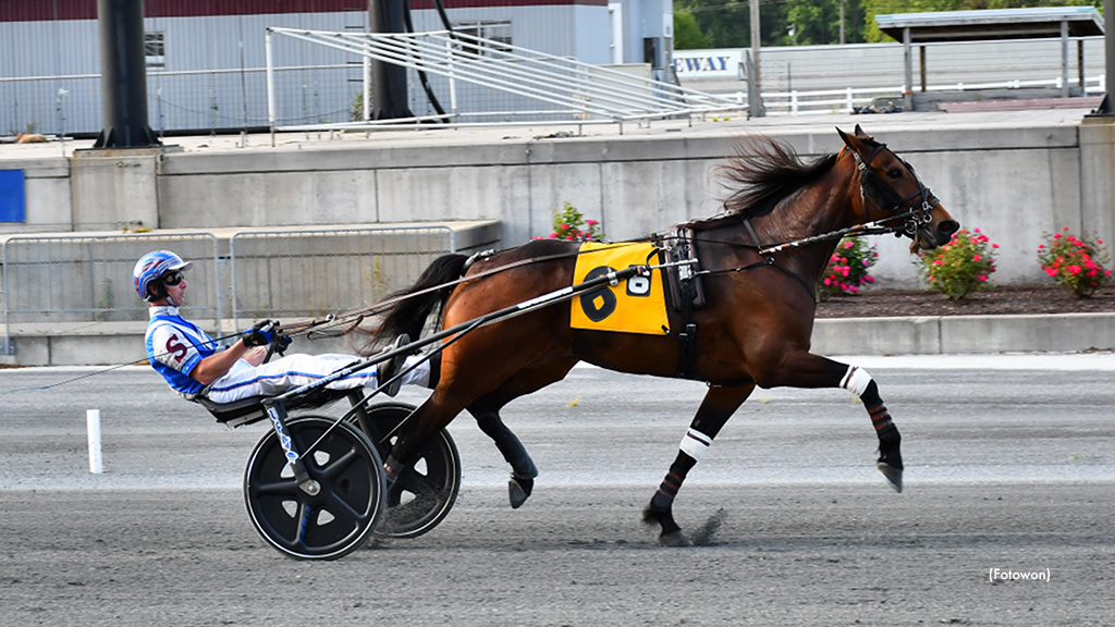 That Ole Bar Stool Takes Harrington Open Trot