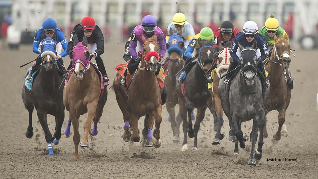 Woodbine Premiers Thoroughbred Racing Show