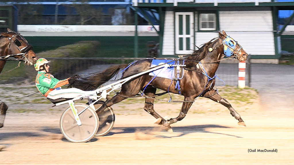 Twin B Tuffenuff Cruises Over Charlottetown