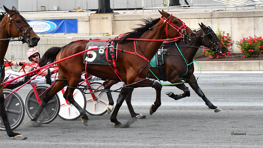 Twin Delight, Davis Star Tuesday At Harrington