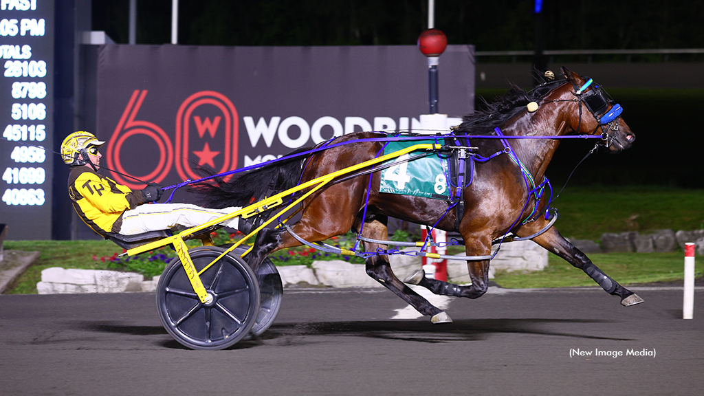 Vis A Vis Bluechip To Face Off With Top Grassrooters