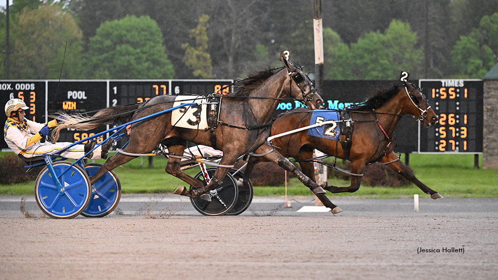 Youaremyrock A Steady Winner In Saratoga Series