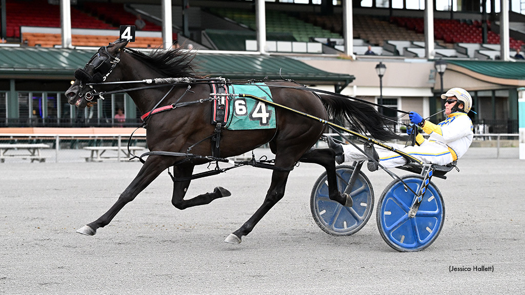 Arizona Dominates Saratoga Distaffers