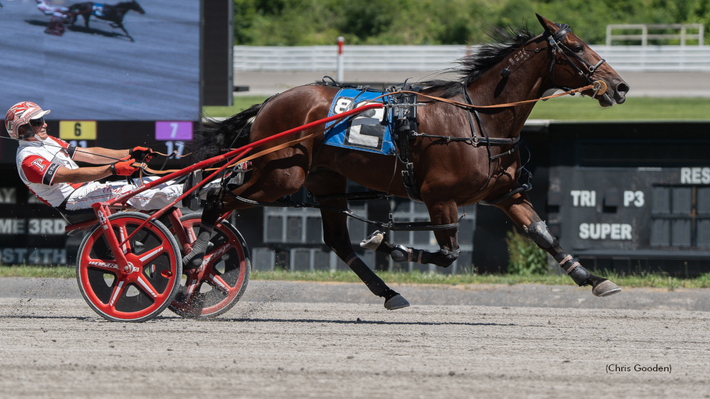 Be Dazzled Lou Scores, Wilder Injured At The Meadows