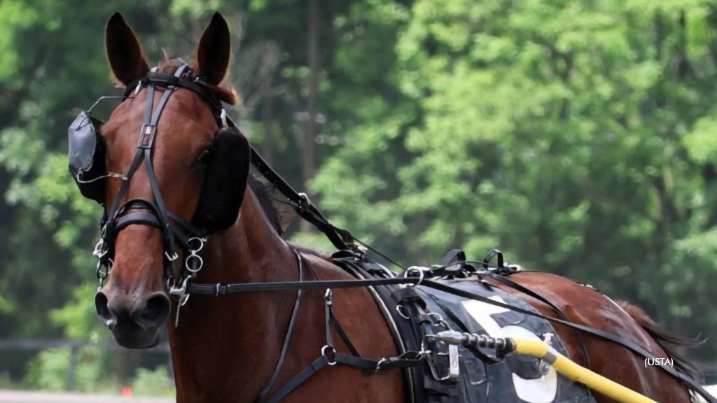 Rookies Roll In Gaitway Farm Qualifiers