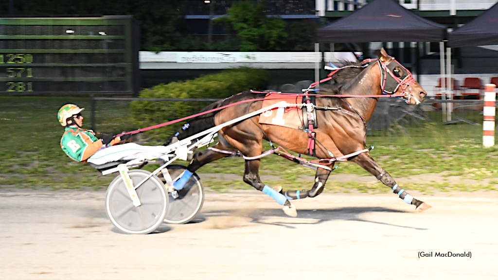 Bee Two Bee Captures Red Shores Preferred