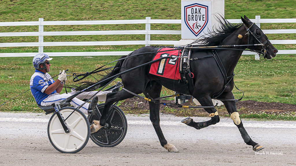 Bet On Big Joe Swiftest In Oak Grove Series