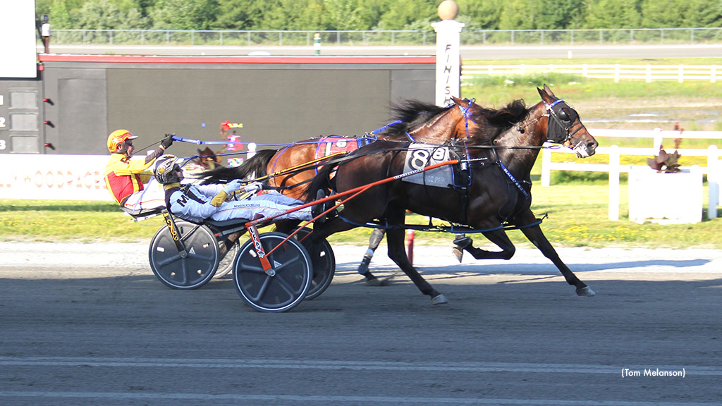 Big Skewy N Ties Plainridge Track Record