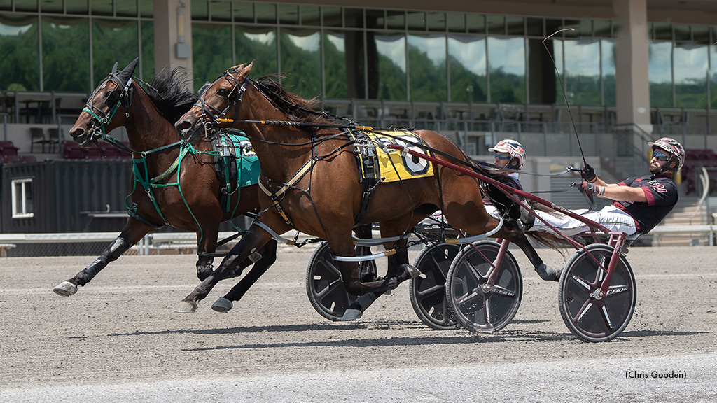 Freshmen Dead Heat In Meadows Series