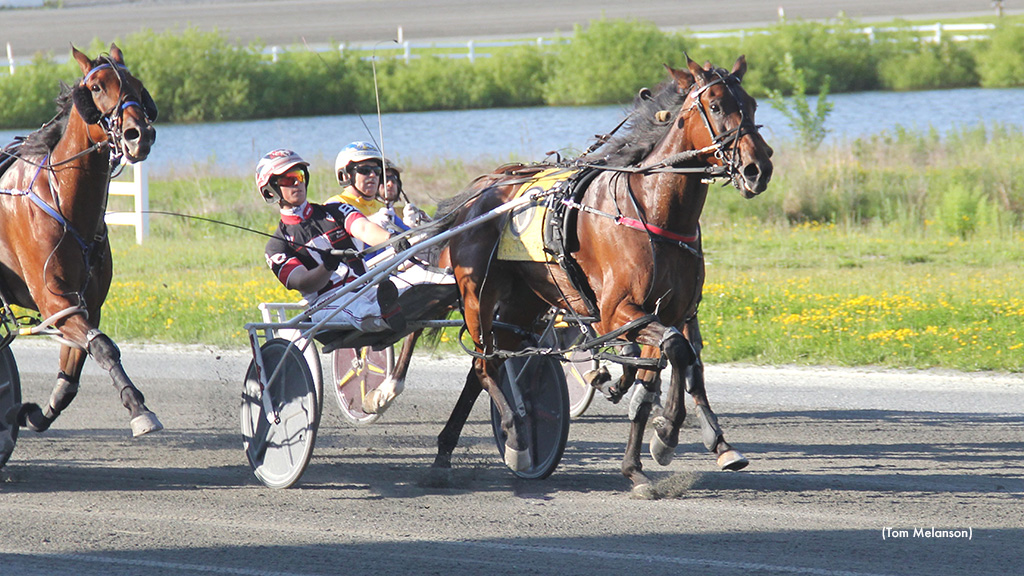 Clover Goes Career Best In Plainridge Distaff Open