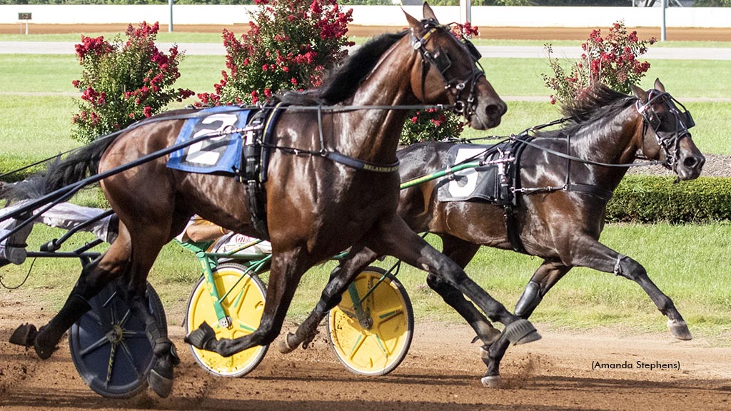 Will The 'Duke' Rule In Yonkers Trot Elimination?