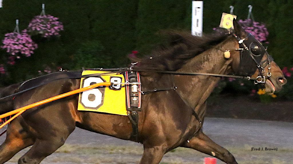 Duly Resolved Wins Open Trot At Tioga