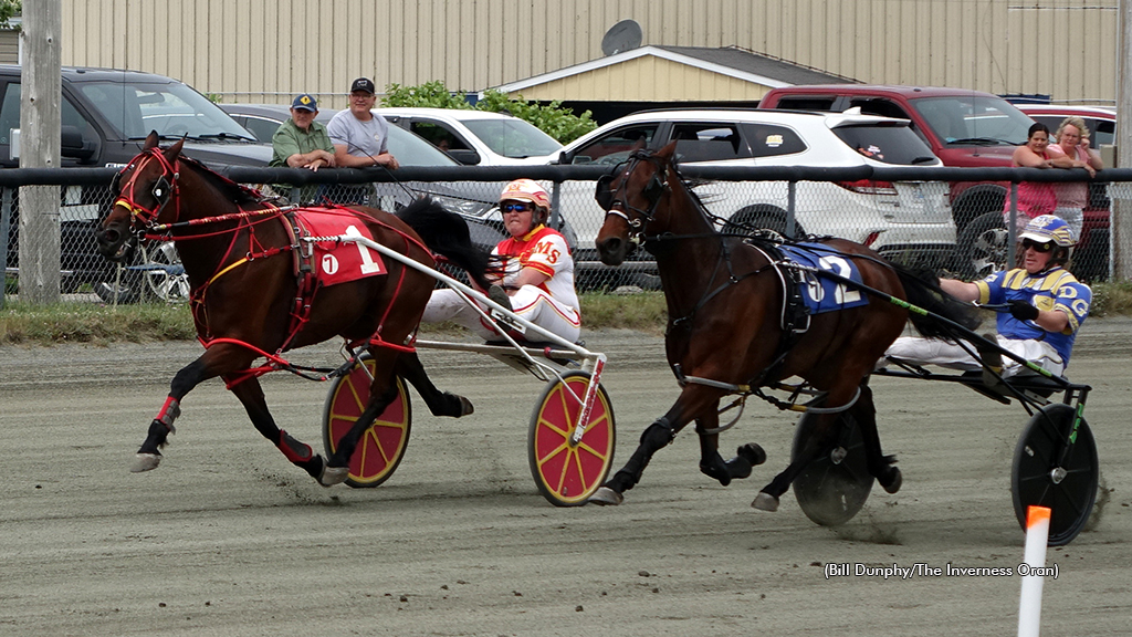 Eastcoast Invader Overshadows Sunshine Lou At Inverness