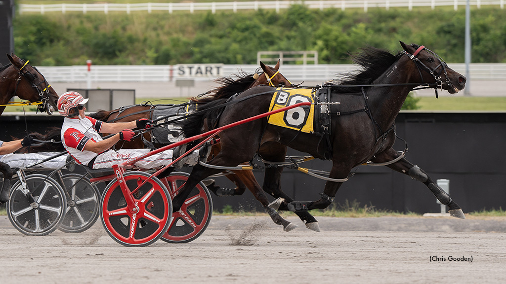 Fighting Evil Wins Meadows Top Distaff Pace