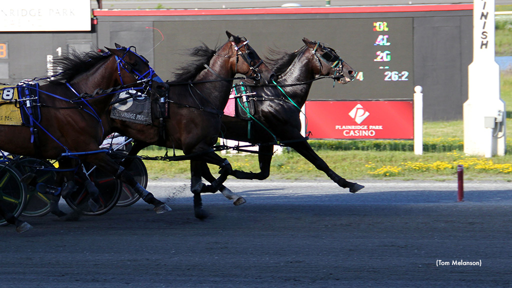 Fourever Boy Surges To Plainridge Open Win