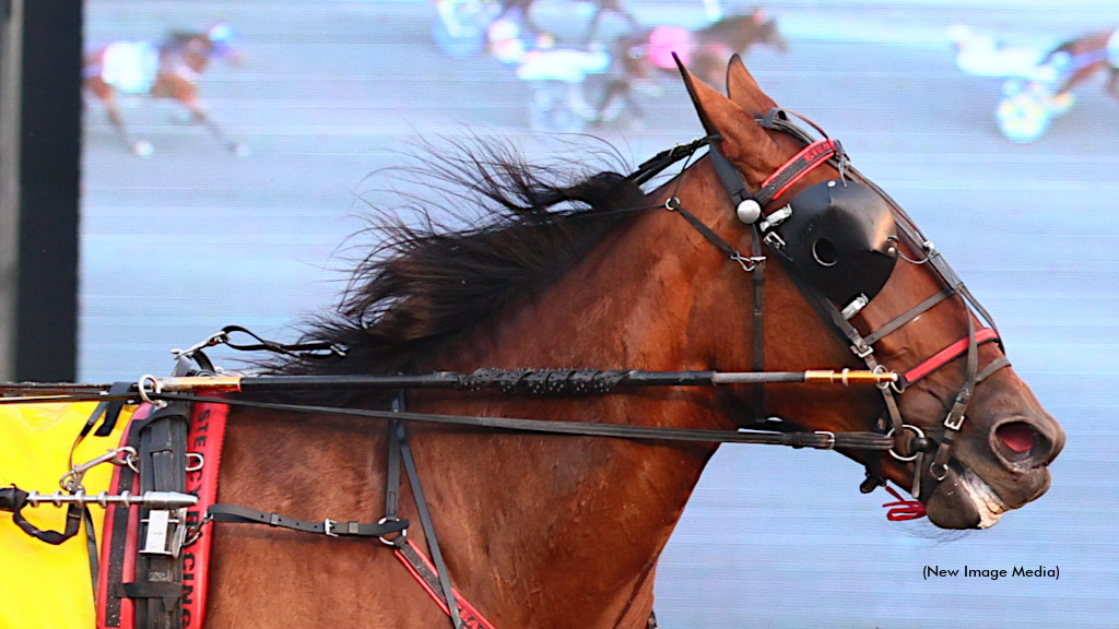 Front Page Story One Of Five For Allard Friday