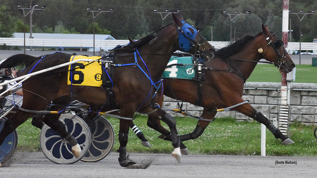 Full Horse Feasts In Rideau Carleton Preferred