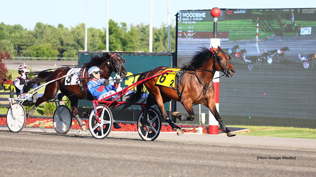 Gaines Hanover In Canadian Record On Cup Undercard