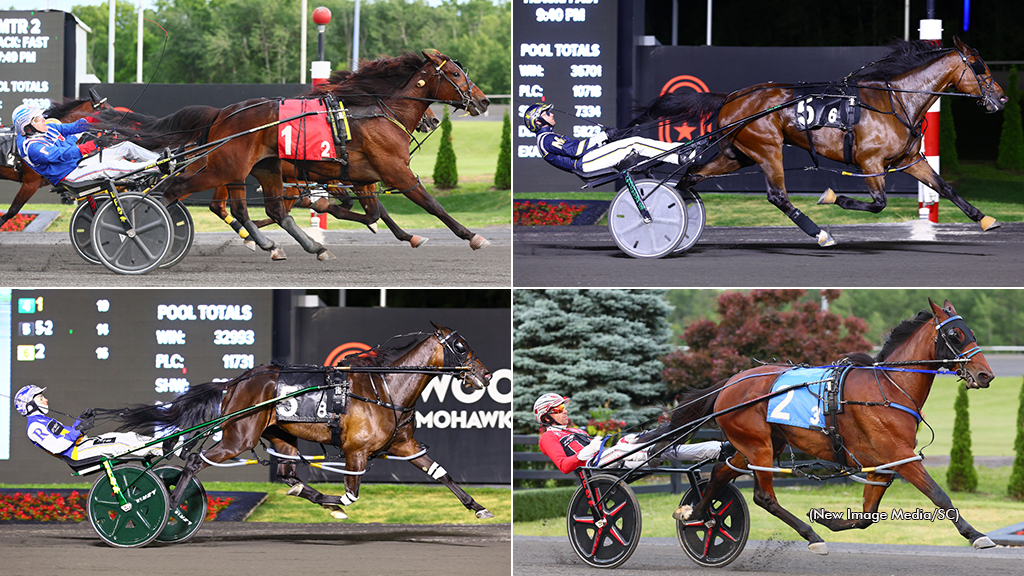 Fields Set For Goodtimes, Roses Are Red Stakes