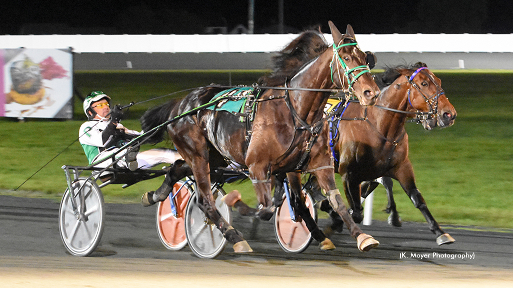 K J Todd Rebounds In Open Pace At Ocean Downs