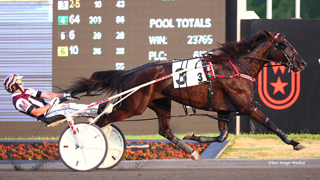 Logan Park Gate-To-Wire In Mohawk Preferred