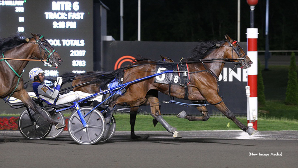 Looks Like Moni Looks Like A Winner At Mohawk