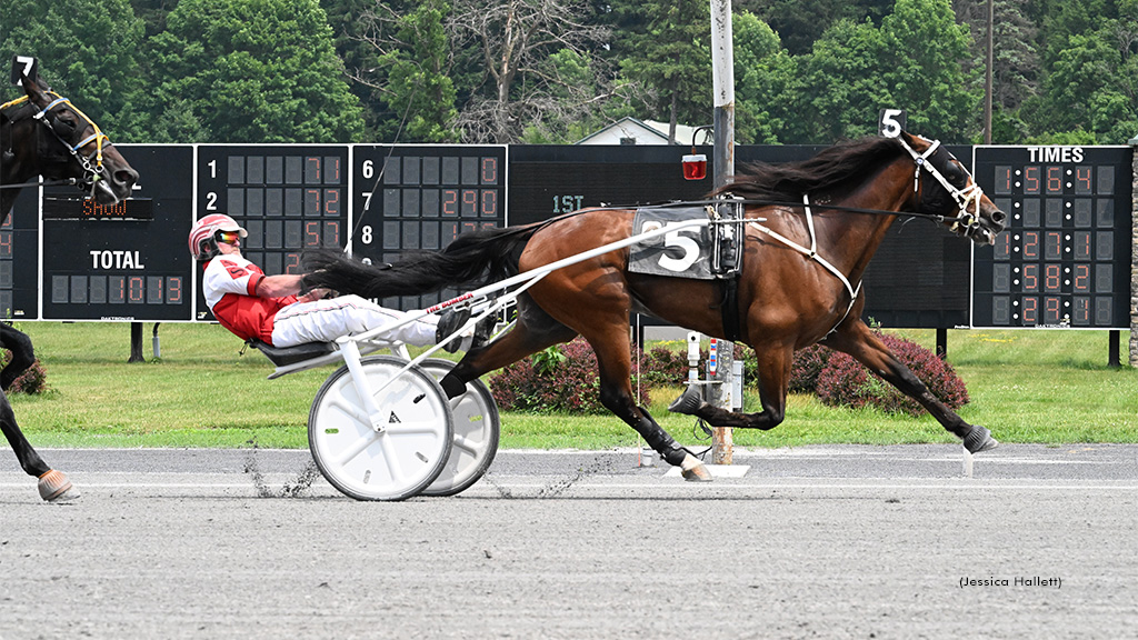 Malibu Kid Scores In Saratoga Open Trot