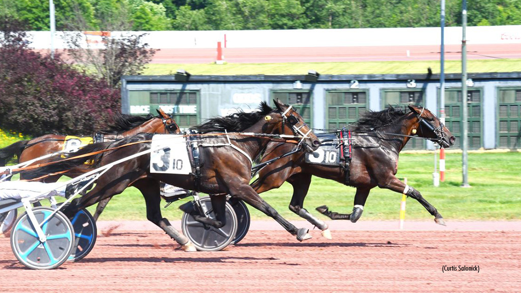 Marg In Charge Tops Pocono Trots
