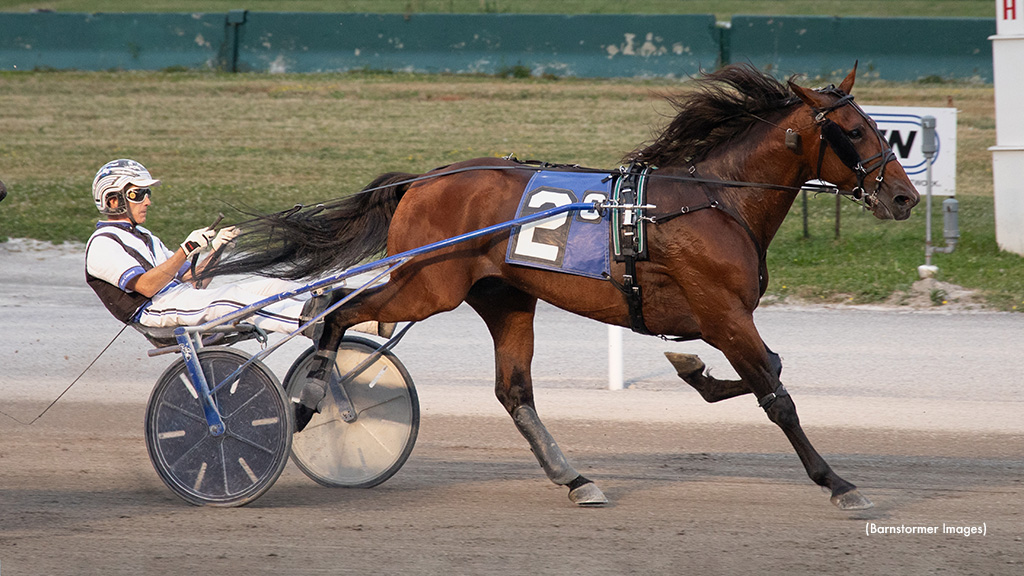 Mercutio Continues Buffalo Open Trot Success