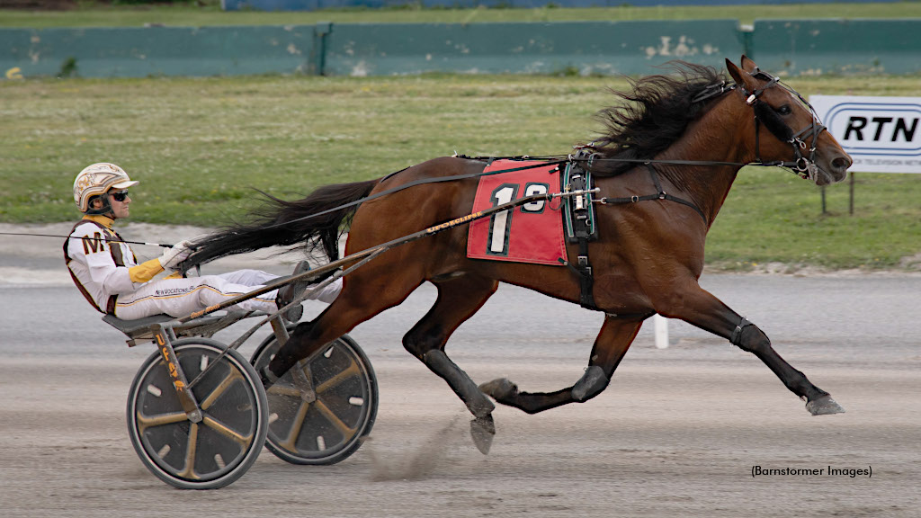 Mercutio Loving It At Buffalo Raceway